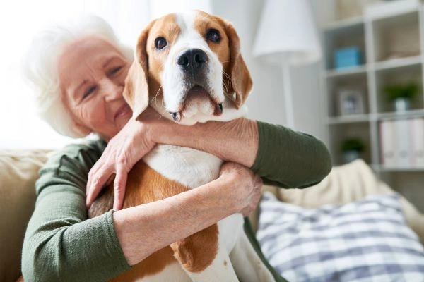 Giving Your Pet a Good Life With a Pet Trust